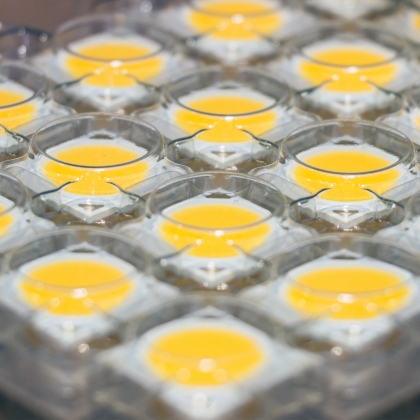 Виды светодиодов, маркировка и параметры